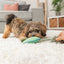 Trixie Dierenpoot Met Touw Groen