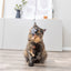 Trixie Kattenhengel Ster Pluche Met Kattenkruid / Catnip