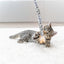 Trixie Kattenhengel Staart Panterprint Pluche Met Kattenkruid / Catnip