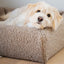 Bia Bed Premium Hoes Teddy Beige