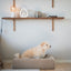 Bia Bed Premium Hoes Teddy Beige