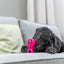 Trixie Dumbell Soft & Strong Tpr Roze