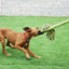 Happy Pet King Size Tug Flostouw