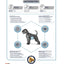 Advance Veterinary Diet Dog Gastroentric Spijsvertering